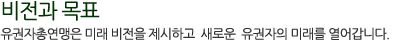 비전